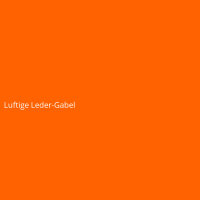 Luftige Leder-Gabel