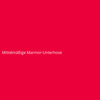 Mittelmäßige Marmor-Unterhose