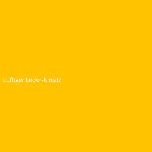 Luftiger Leder-Klositz